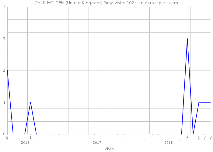 PAUL HOLDEN (United Kingdom) Page visits 2024 