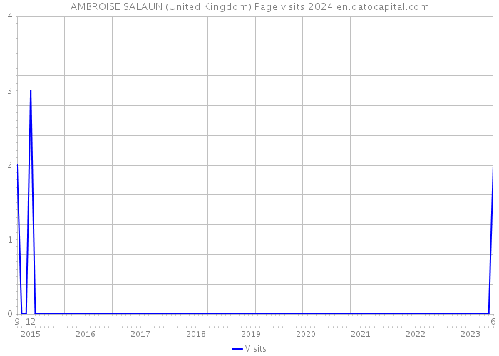 AMBROISE SALAUN (United Kingdom) Page visits 2024 