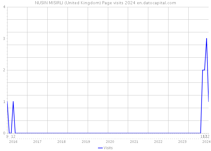 NUSIN MISIRLI (United Kingdom) Page visits 2024 
