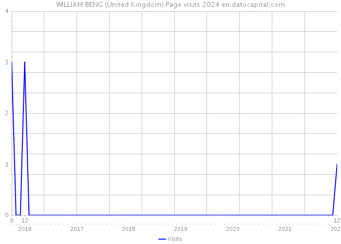WILLIAM BENG (United Kingdom) Page visits 2024 