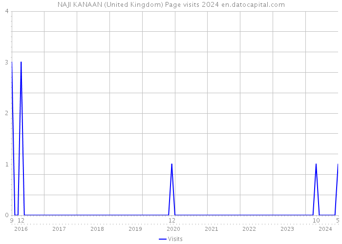 NAJI KANAAN (United Kingdom) Page visits 2024 