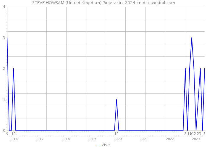 STEVE HOWSAM (United Kingdom) Page visits 2024 