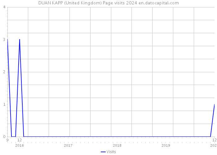 DUAN KAPP (United Kingdom) Page visits 2024 