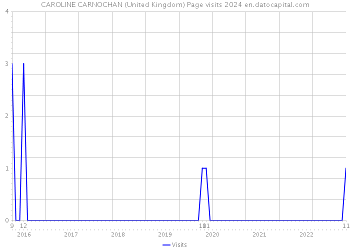 CAROLINE CARNOCHAN (United Kingdom) Page visits 2024 