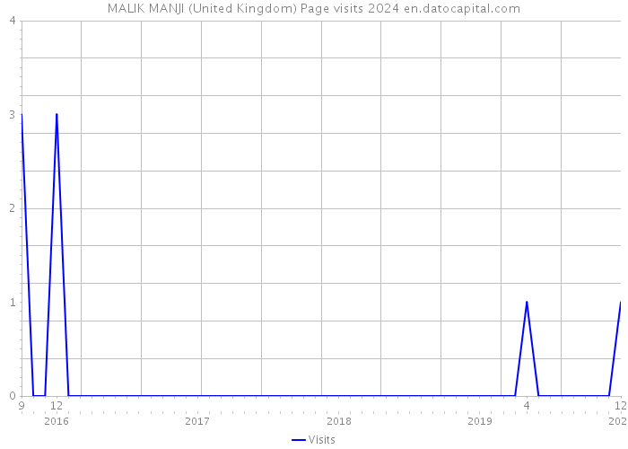 MALIK MANJI (United Kingdom) Page visits 2024 