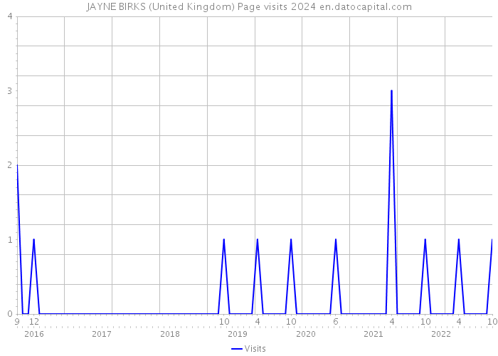 JAYNE BIRKS (United Kingdom) Page visits 2024 