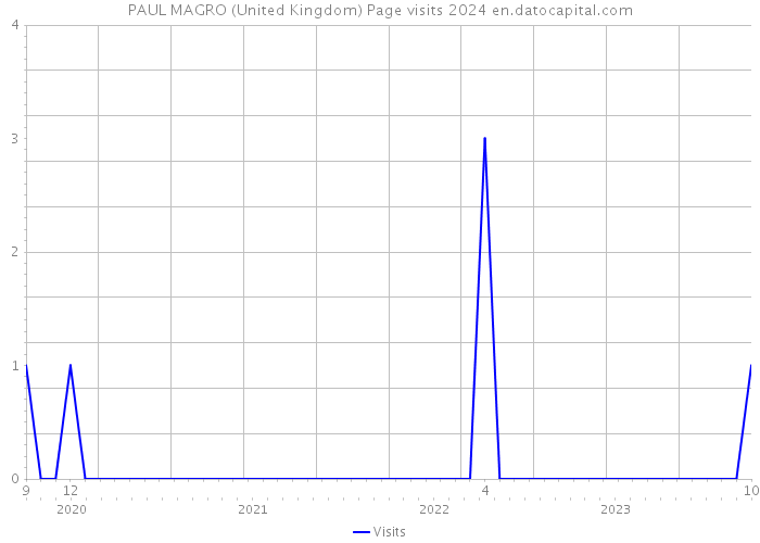 PAUL MAGRO (United Kingdom) Page visits 2024 