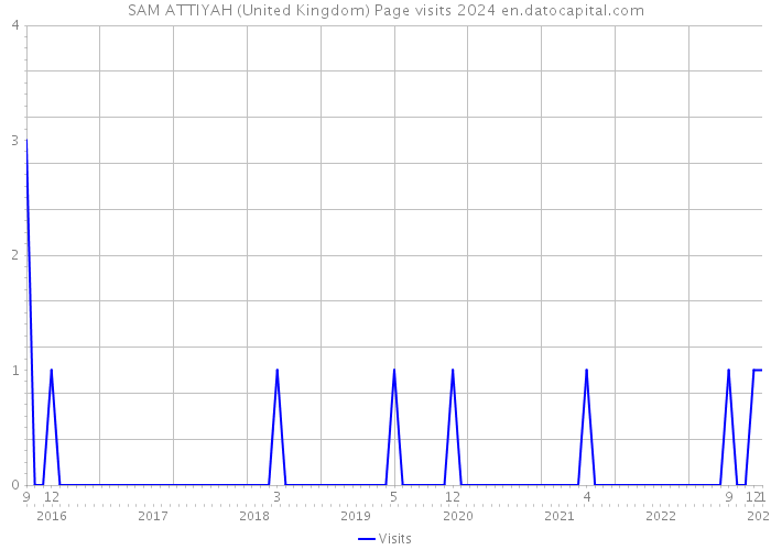 SAM ATTIYAH (United Kingdom) Page visits 2024 