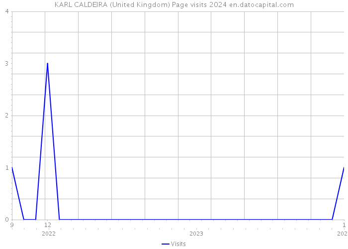 KARL CALDEIRA (United Kingdom) Page visits 2024 