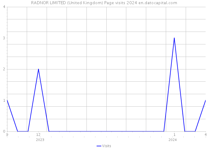 RADNOR LIMITED (United Kingdom) Page visits 2024 