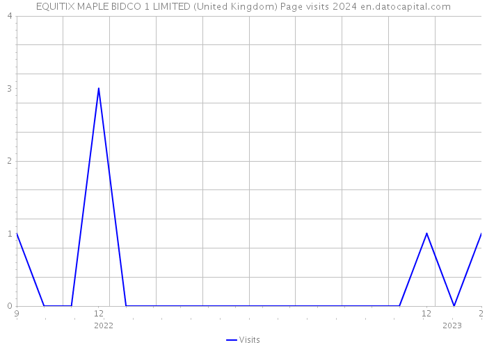 EQUITIX MAPLE BIDCO 1 LIMITED (United Kingdom) Page visits 2024 
