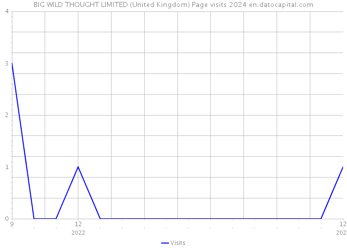 BIG WILD THOUGHT LIMITED (United Kingdom) Page visits 2024 