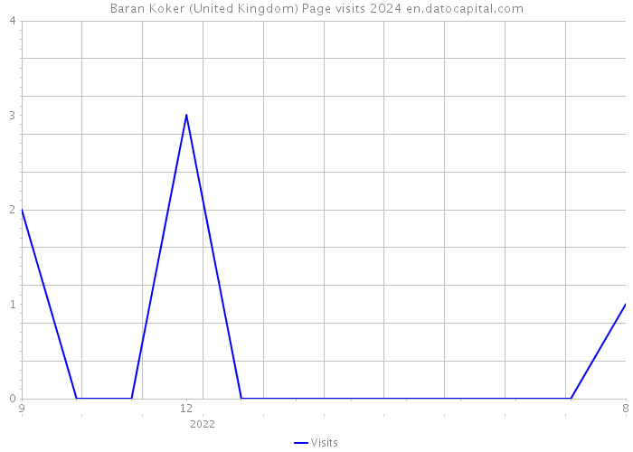Baran Koker (United Kingdom) Page visits 2024 