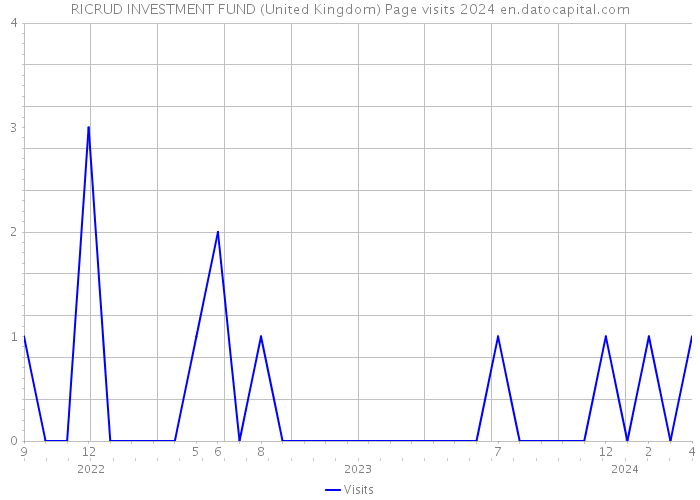 RICRUD INVESTMENT FUND (United Kingdom) Page visits 2024 