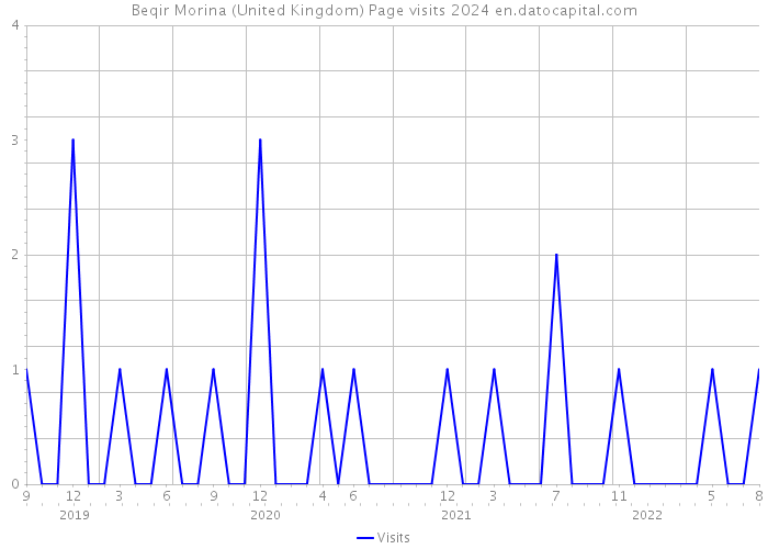 Beqir Morina (United Kingdom) Page visits 2024 
