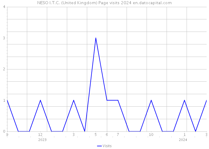 NESO I.T.C. (United Kingdom) Page visits 2024 