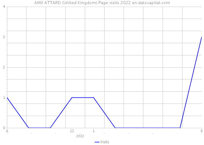 AMII ATTARD (United Kingdom) Page visits 2022 