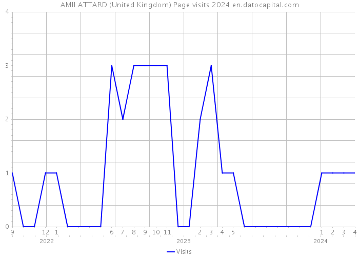AMII ATTARD (United Kingdom) Page visits 2024 