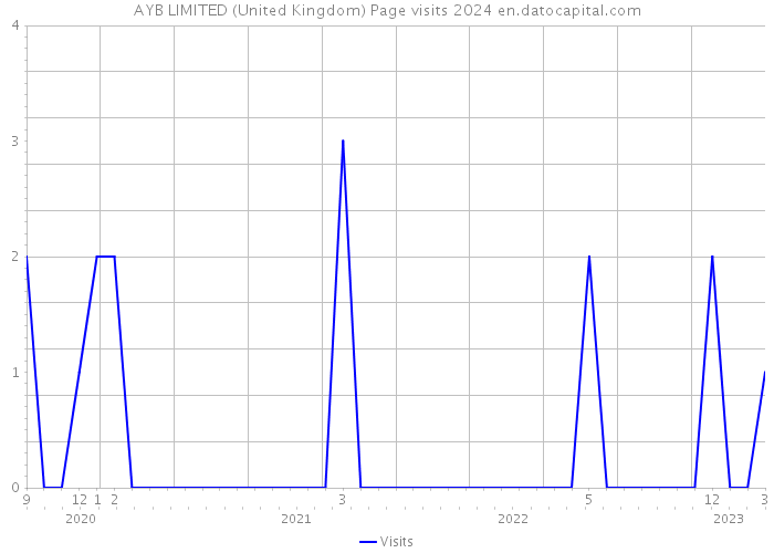 AYB LIMITED (United Kingdom) Page visits 2024 