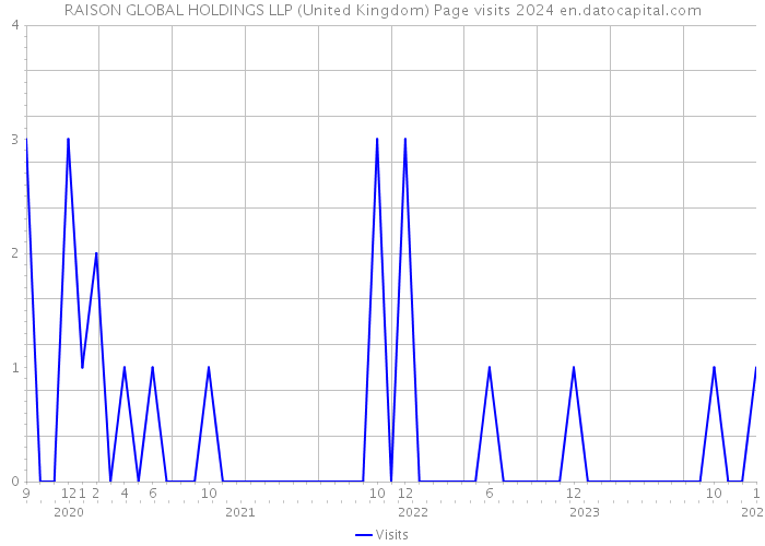 RAISON GLOBAL HOLDINGS LLP (United Kingdom) Page visits 2024 