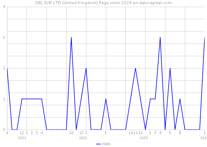 DEL SUR LTD (United Kingdom) Page visits 2024 