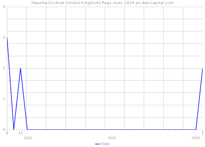 Nasema Dockrat (United Kingdom) Page visits 2024 