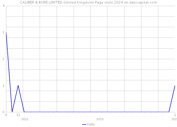 CALIBER & BORE LIMITED (United Kingdom) Page visits 2024 