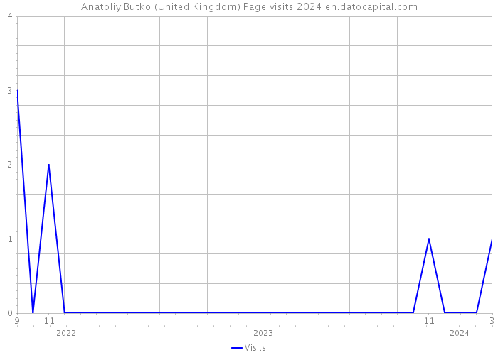 Anatoliy Butko (United Kingdom) Page visits 2024 