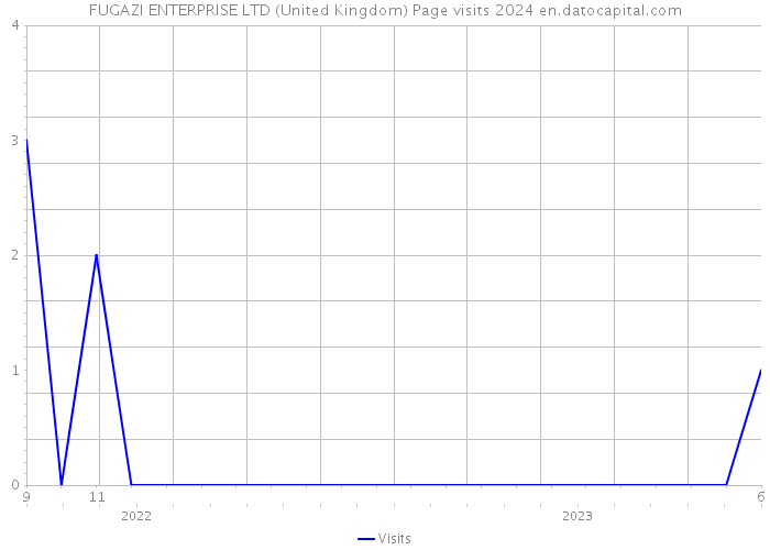FUGAZI ENTERPRISE LTD (United Kingdom) Page visits 2024 