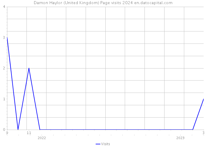 Damon Haylor (United Kingdom) Page visits 2024 