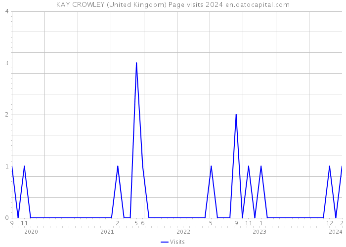 KAY CROWLEY (United Kingdom) Page visits 2024 