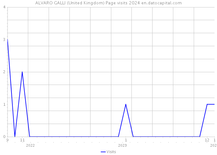 ALVARO GALLI (United Kingdom) Page visits 2024 
