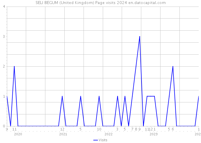 SELI BEGUM (United Kingdom) Page visits 2024 