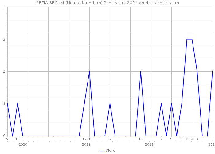 REZIA BEGUM (United Kingdom) Page visits 2024 