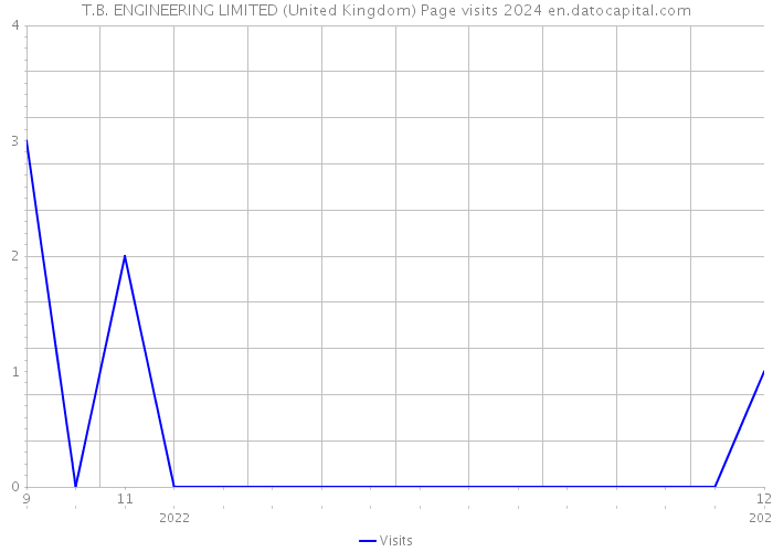 T.B. ENGINEERING LIMITED (United Kingdom) Page visits 2024 