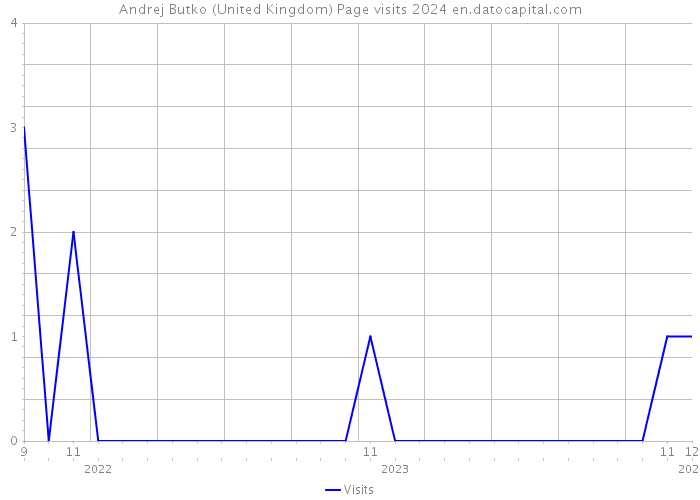 Andrej Butko (United Kingdom) Page visits 2024 
