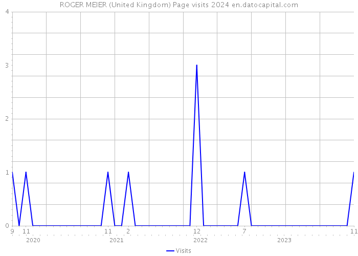 ROGER MEIER (United Kingdom) Page visits 2024 