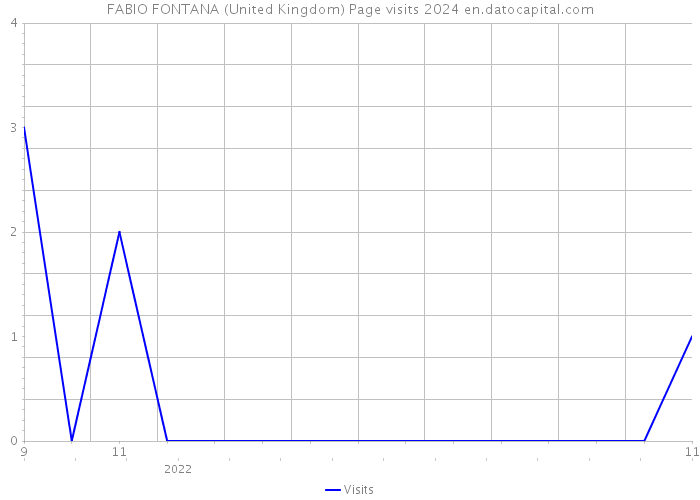 FABIO FONTANA (United Kingdom) Page visits 2024 