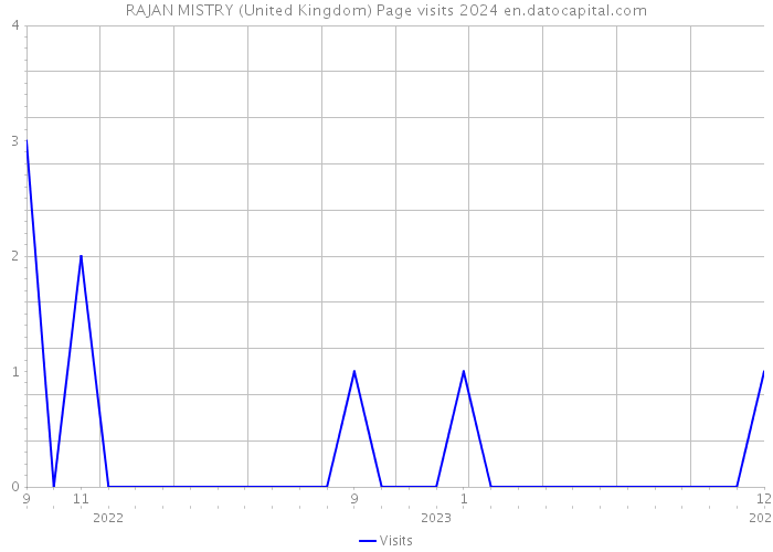 RAJAN MISTRY (United Kingdom) Page visits 2024 