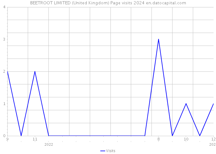 BEETROOT LIMITED (United Kingdom) Page visits 2024 