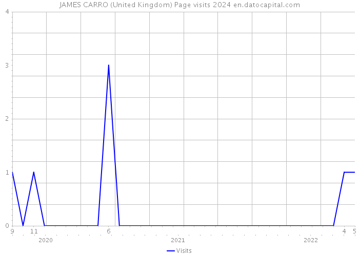 JAMES CARRO (United Kingdom) Page visits 2024 