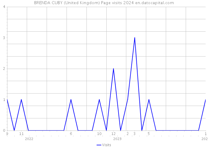 BRENDA CUBY (United Kingdom) Page visits 2024 