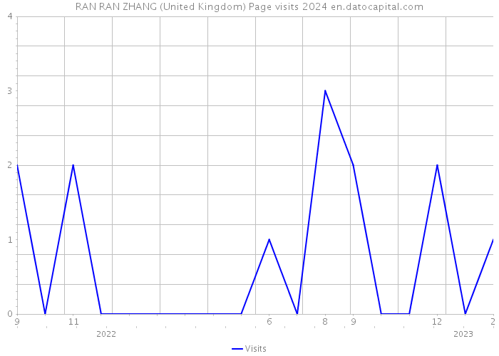 RAN RAN ZHANG (United Kingdom) Page visits 2024 