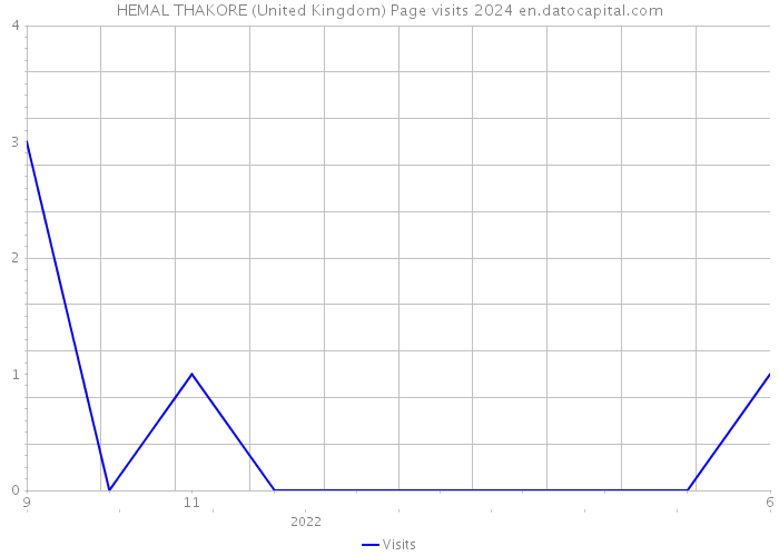 HEMAL THAKORE (United Kingdom) Page visits 2024 