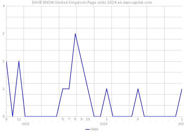 DAVE SNOW (United Kingdom) Page visits 2024 