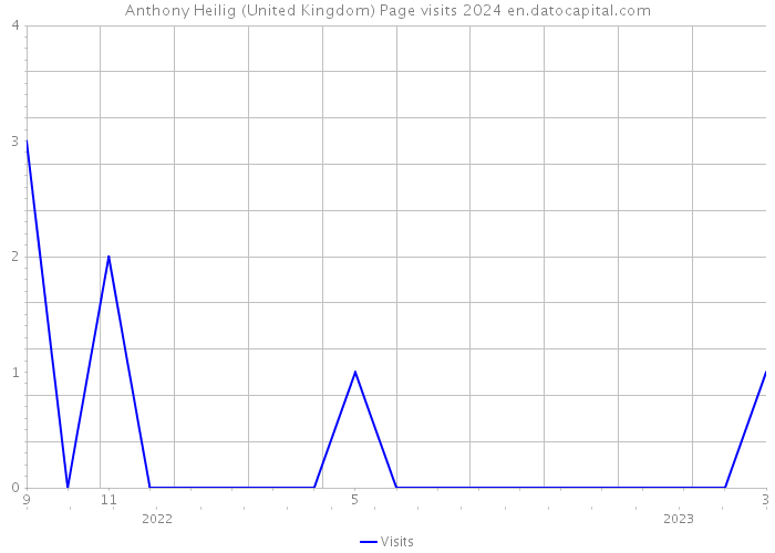 Anthony Heilig (United Kingdom) Page visits 2024 
