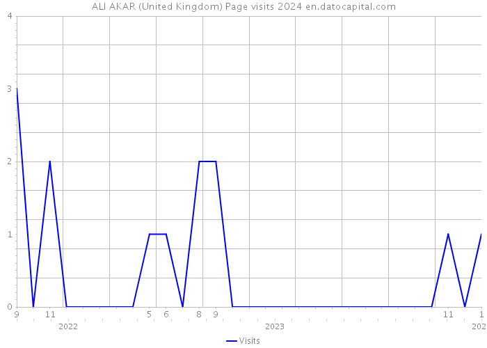 ALI AKAR (United Kingdom) Page visits 2024 