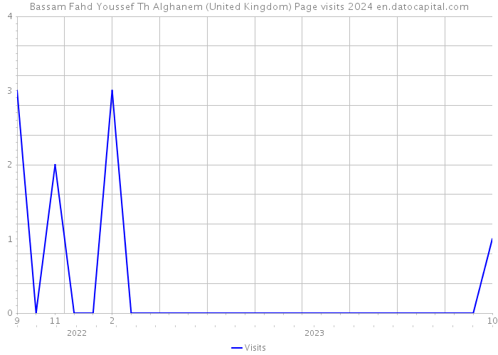 Bassam Fahd Youssef Th Alghanem (United Kingdom) Page visits 2024 