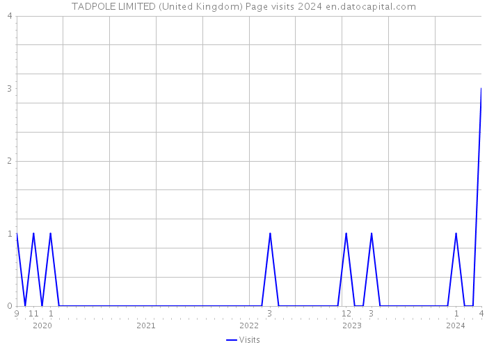 TADPOLE LIMITED (United Kingdom) Page visits 2024 