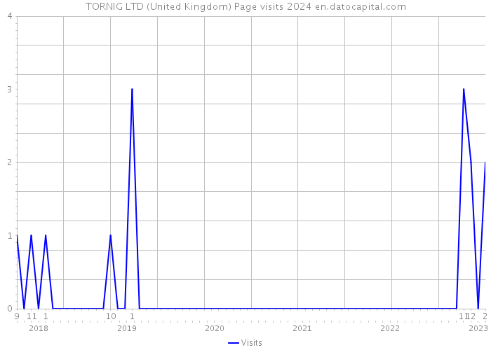 TORNIG LTD (United Kingdom) Page visits 2024 